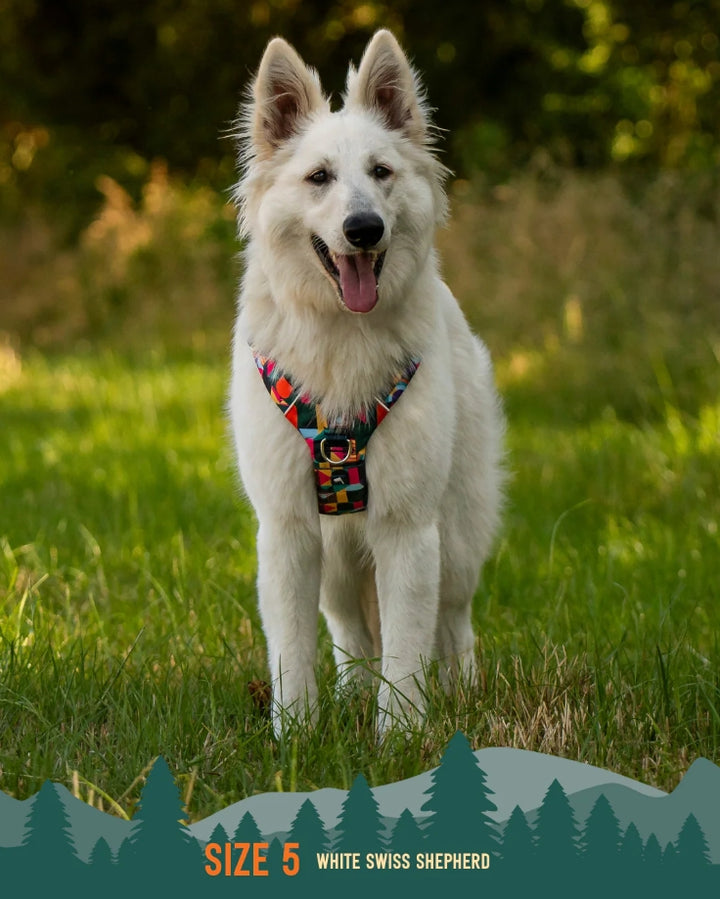 Twiggy Tags Adventure Harness