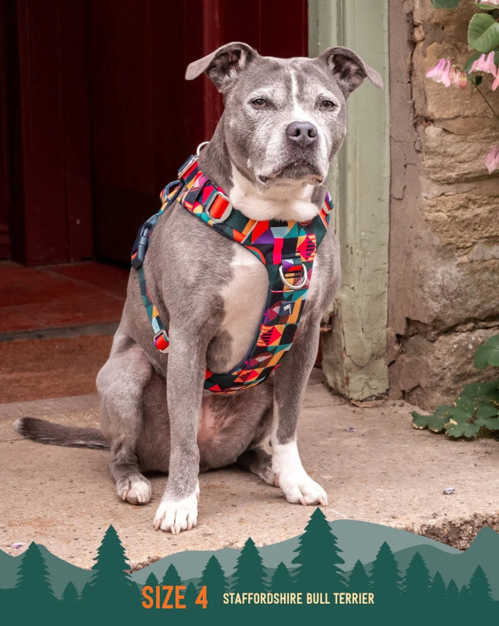 Twiggy Tags Adventure Harness