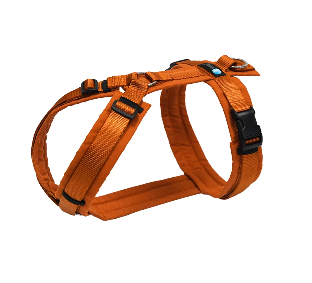 Anny.x Harness Fun