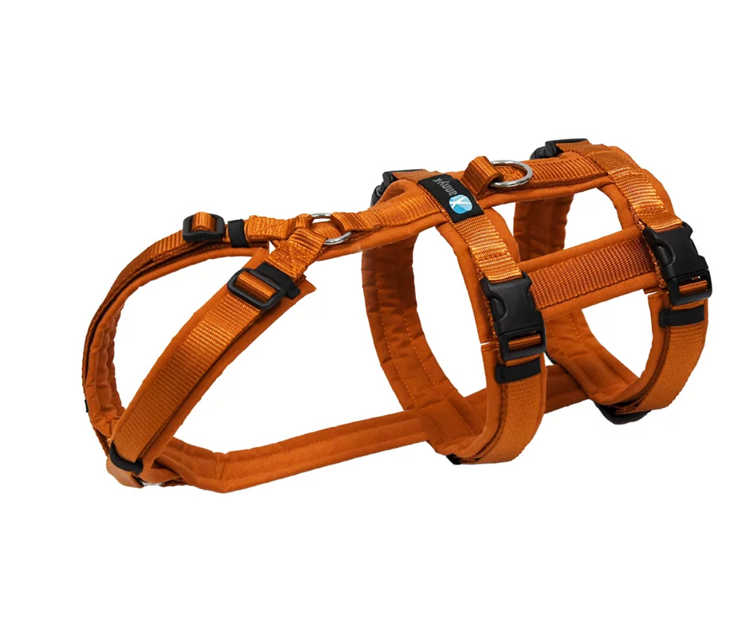 Anny.x Safety Harness
