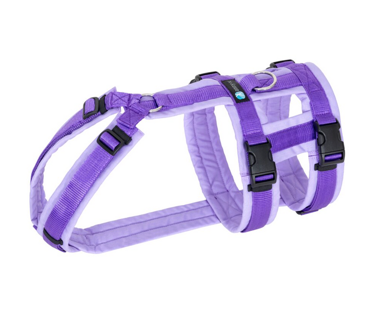 Anny.x Safety Harness
