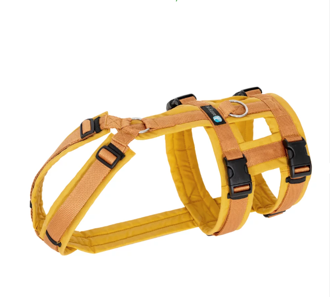 Anny.x Safety Harness