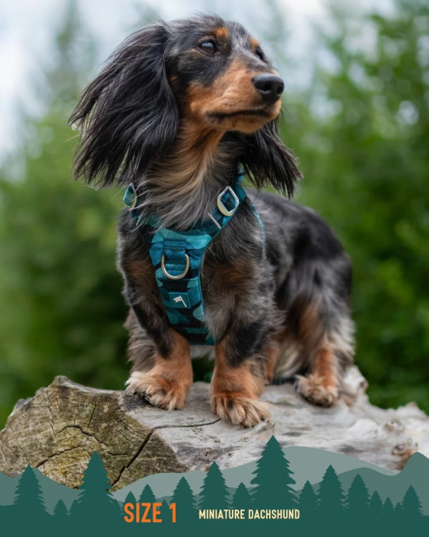 Twiggy Tags Adventure Harness