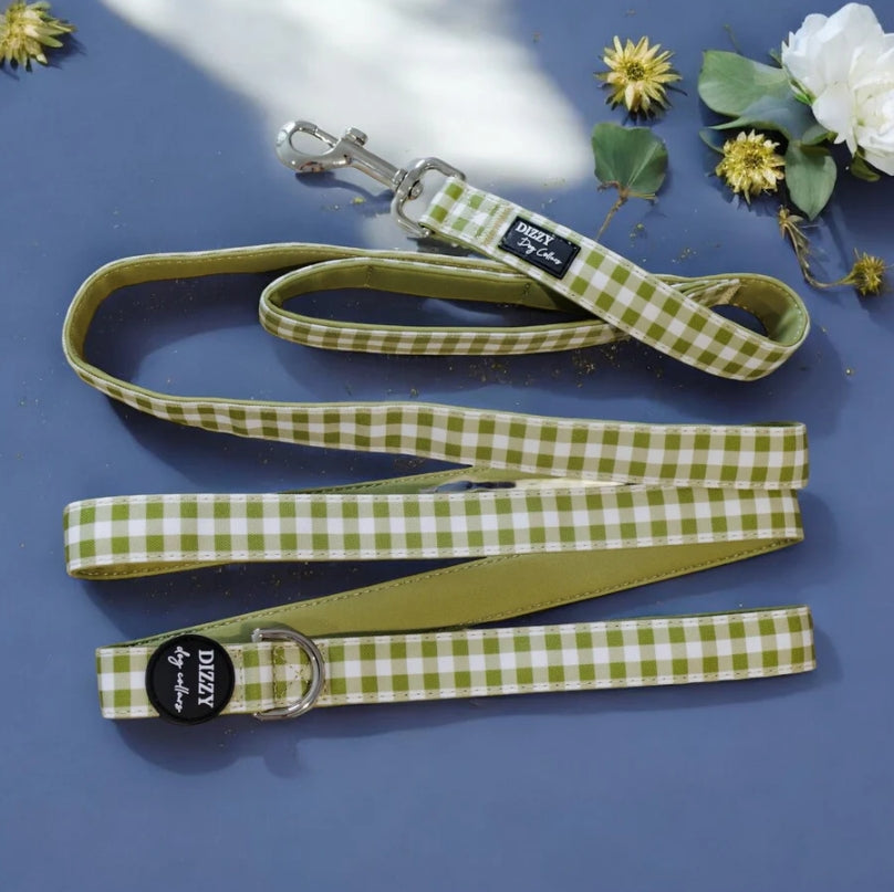 Dizzy Canvas & Neoprene 2.1m Lead