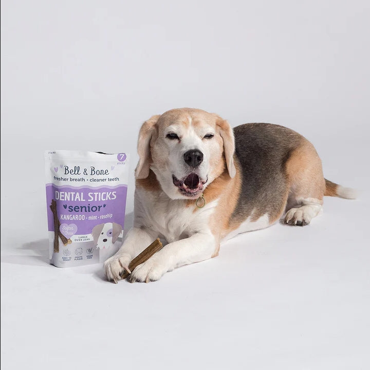 Bell & Bone Dental Sticks Senior