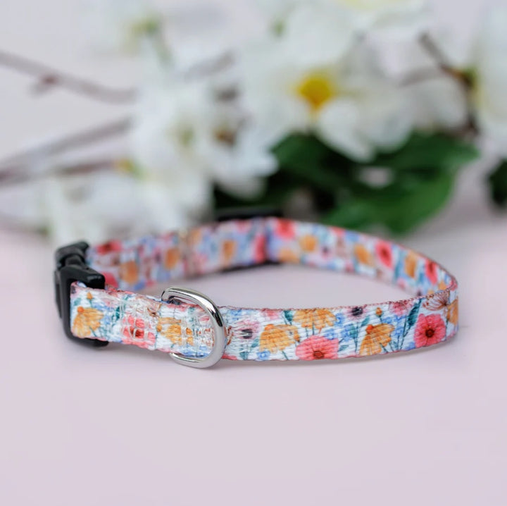Breakaway Cat Collar