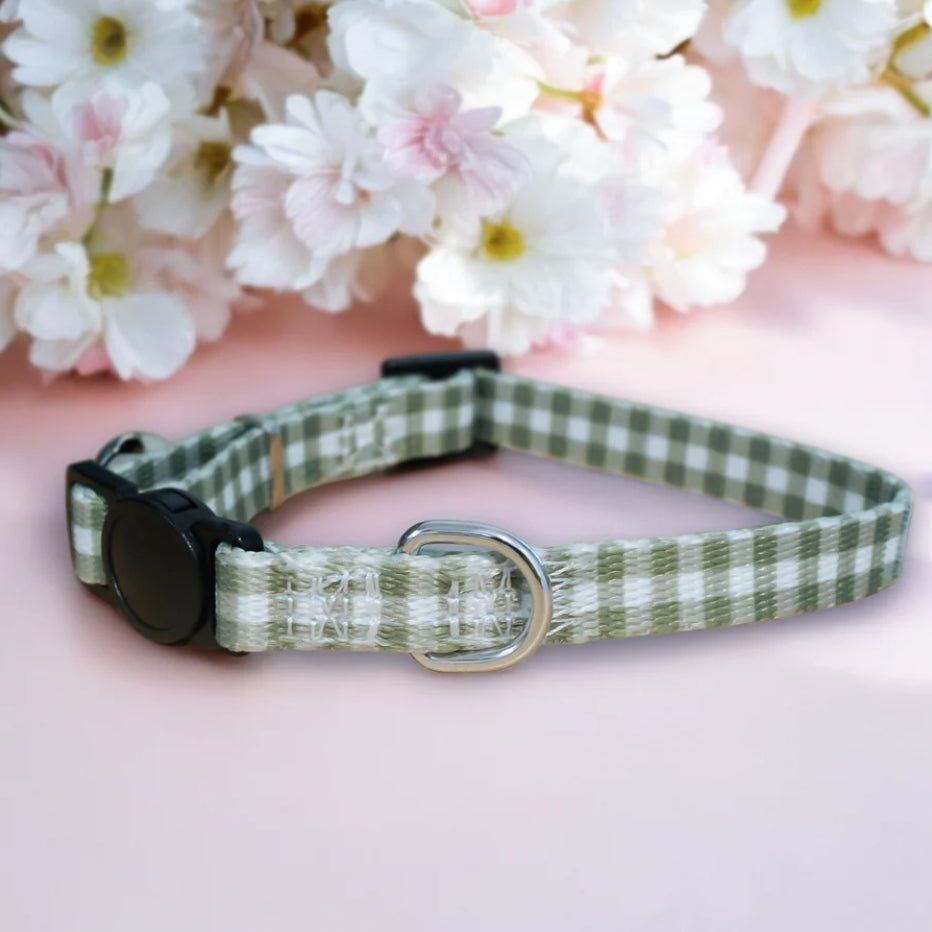 Breakaway Cat Collar