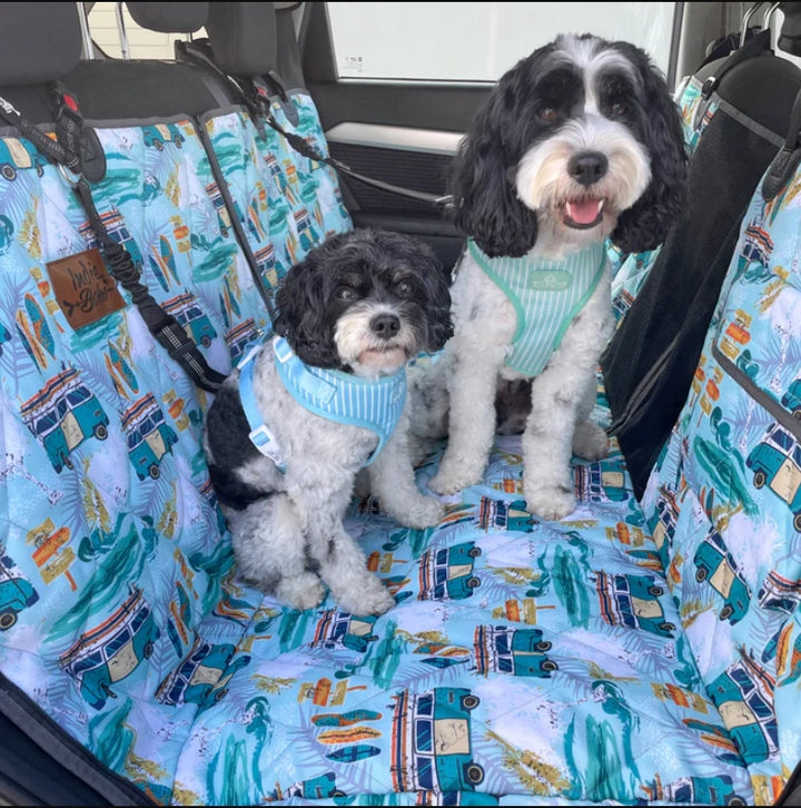 Indie Boho  2-in-1 Car Hammock