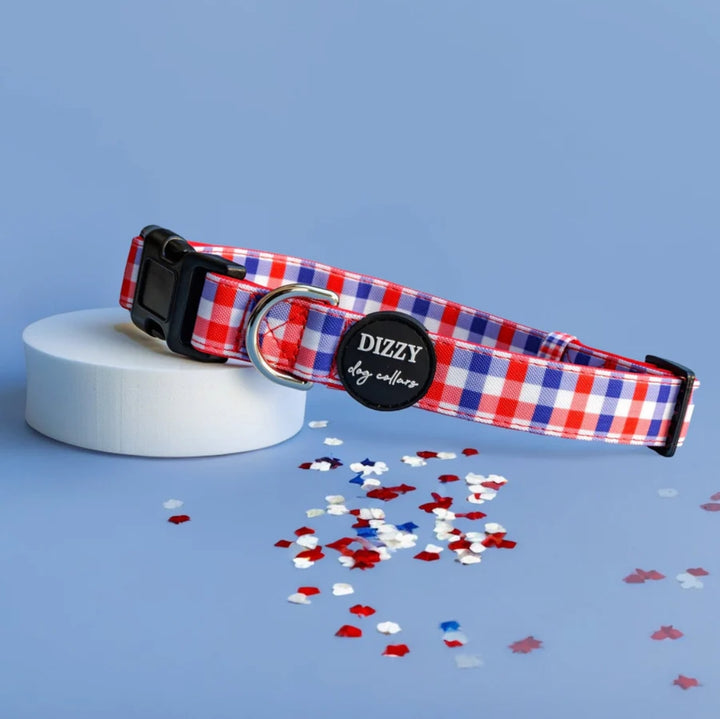 Red & Blue Gingham Canvas & Neoprene Dog Collar *