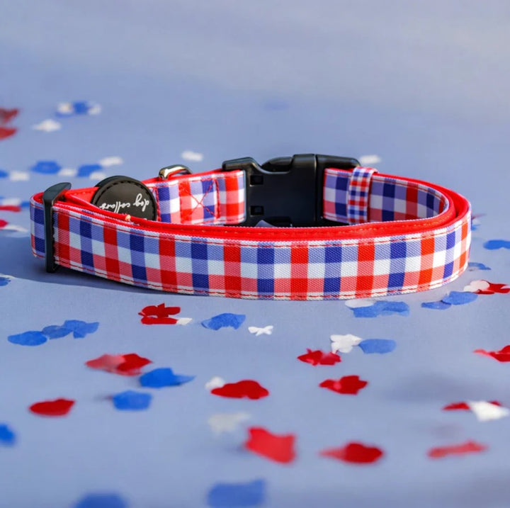 Red & Blue Gingham Canvas & Neoprene Dog Collar *