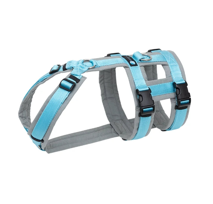 Anny.x Safety Harness