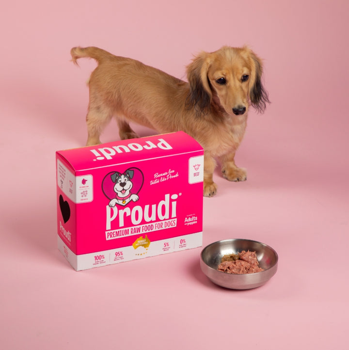 Proudi Dog Range 2.4kg (12x200g)