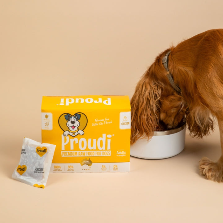 Proudi Dog Range 2.4kg (12x200g)