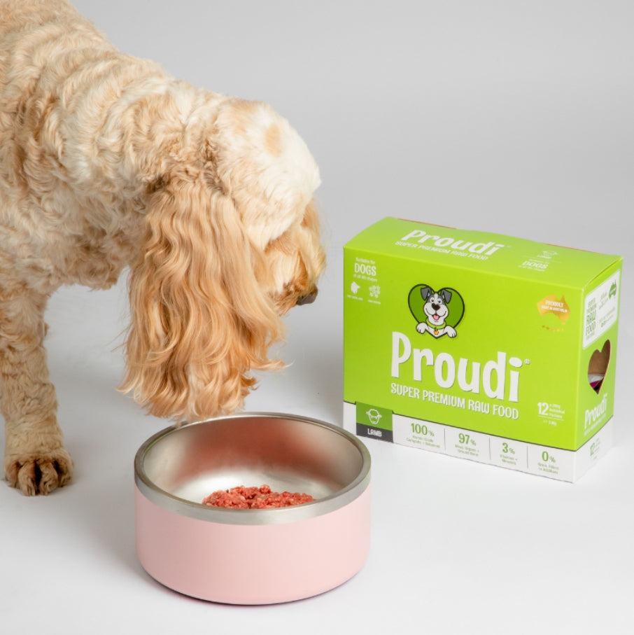Proudi Dog Range 2.4kg (12x200g)