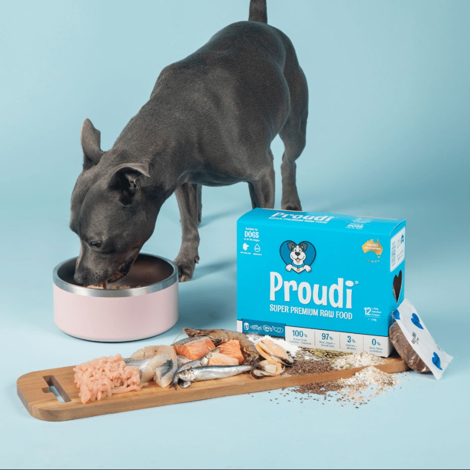 Proudi Dog Range 2.4kg (12x200g)