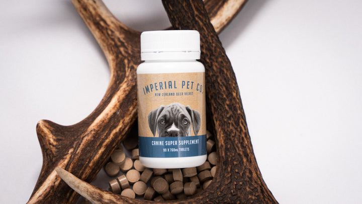 Imperial Pet Co. Deer Velvet & Green Lipped Mussel Joint Supplement Dog