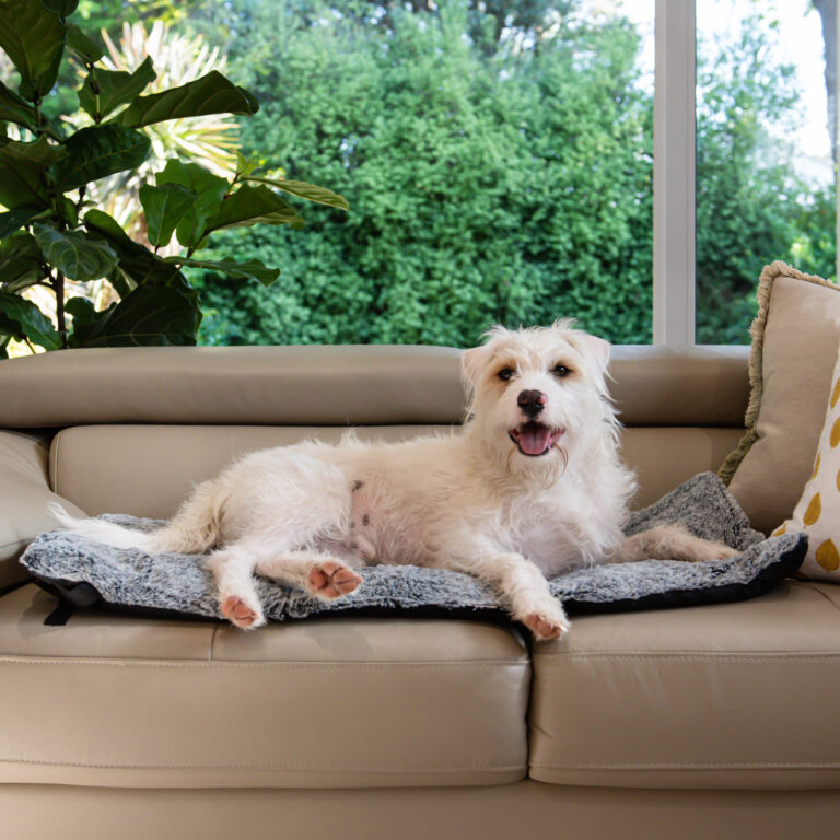 Superior Roll-Up Pet Travel Mat Artic Faux Fur