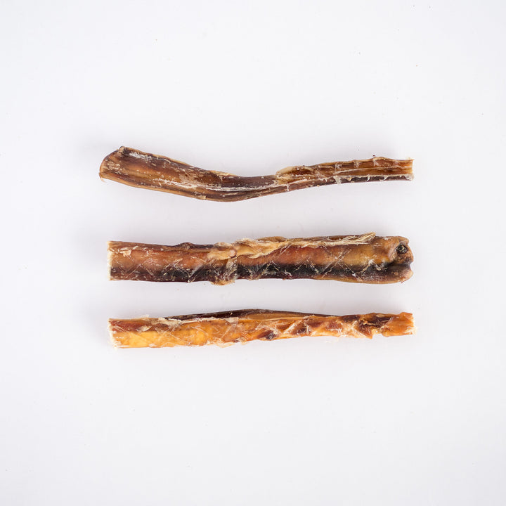 Beef Pizzles 15cm
