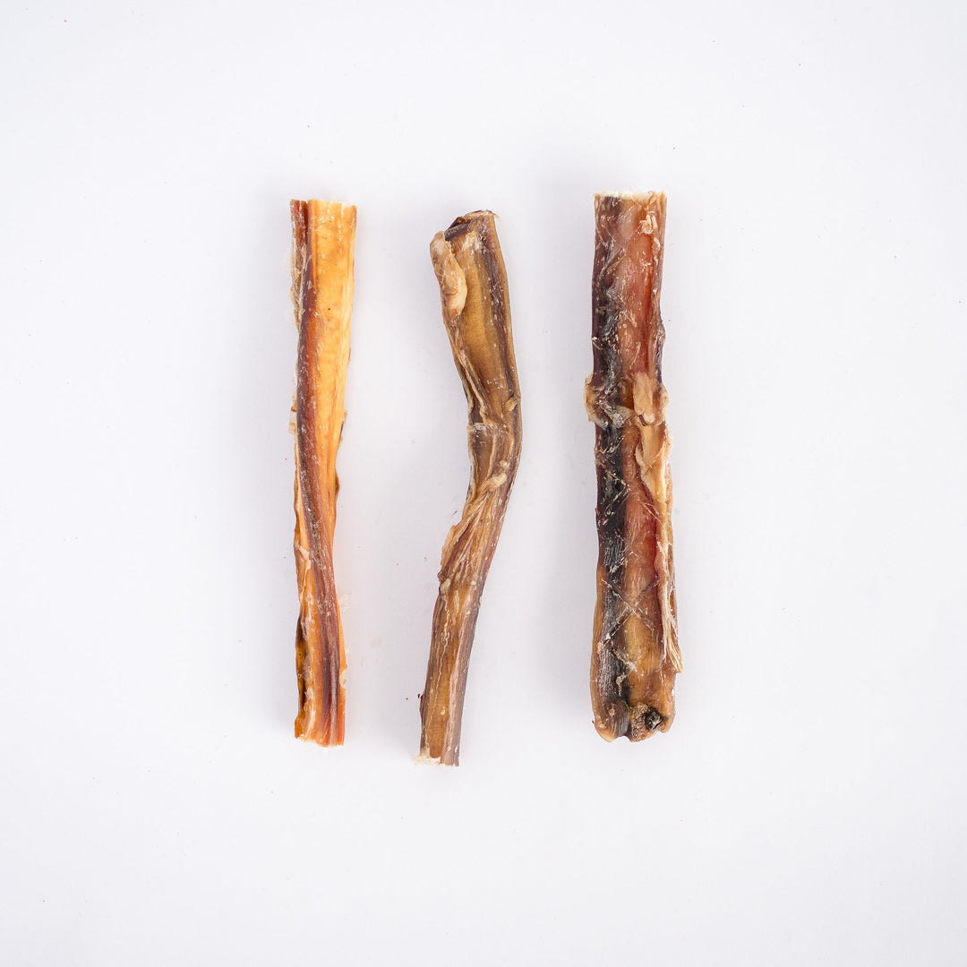 Beef Pizzles 15cm