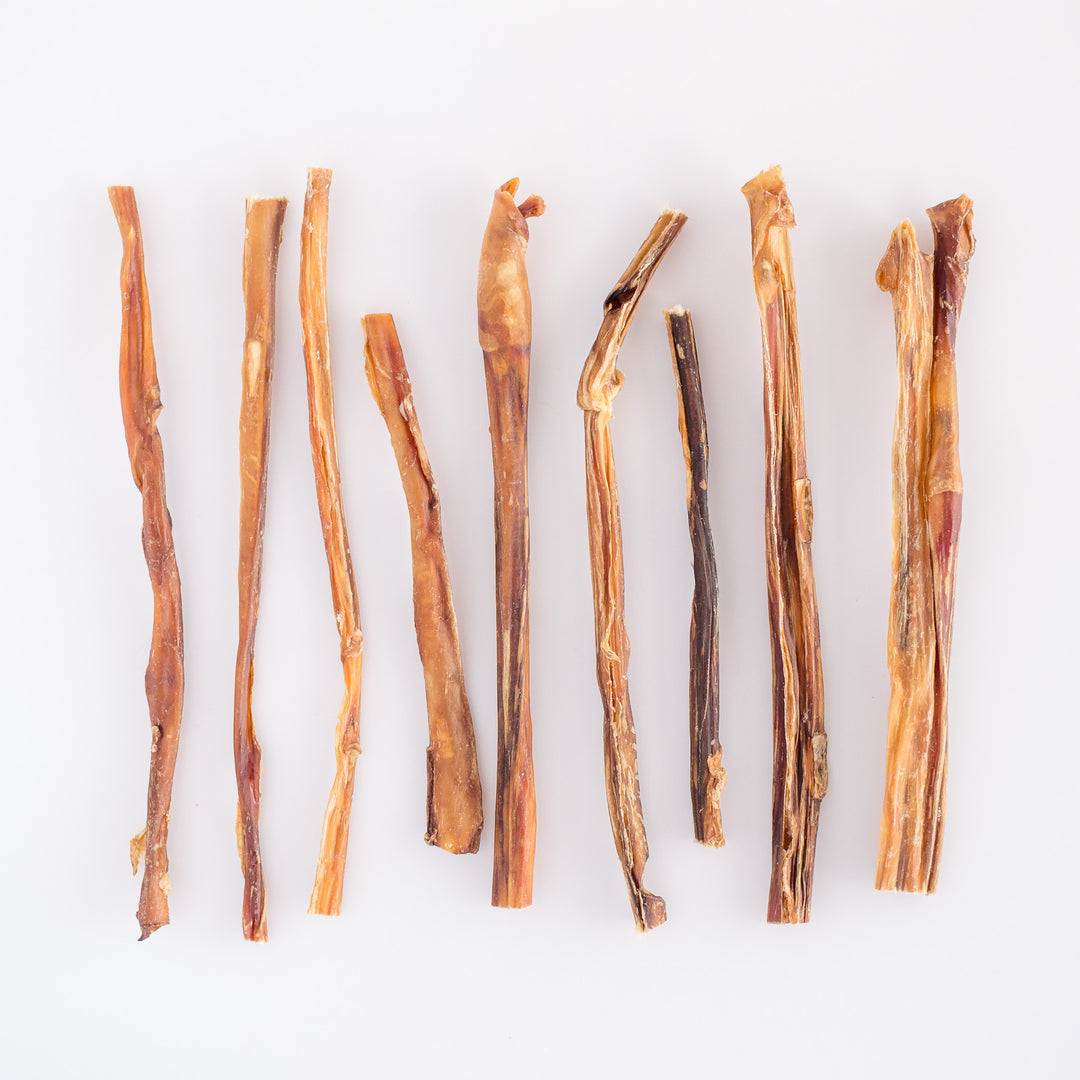 Beef Pizzle 30cm Long 200g