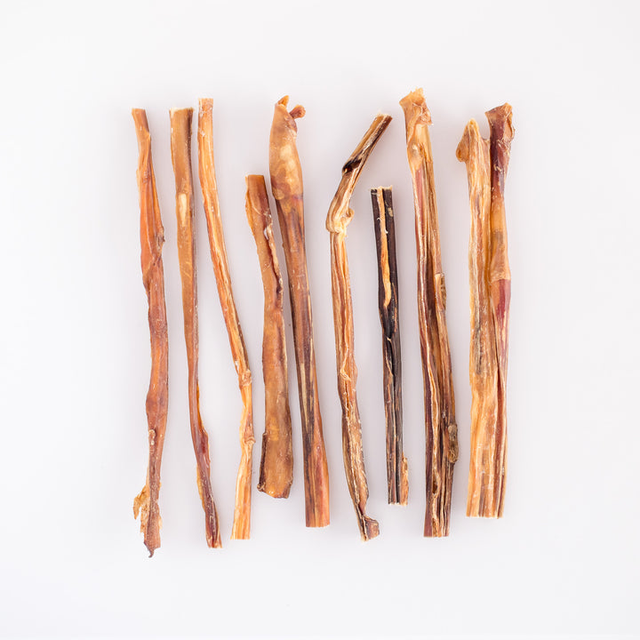 Beef Pizzle 30cm Long 200g