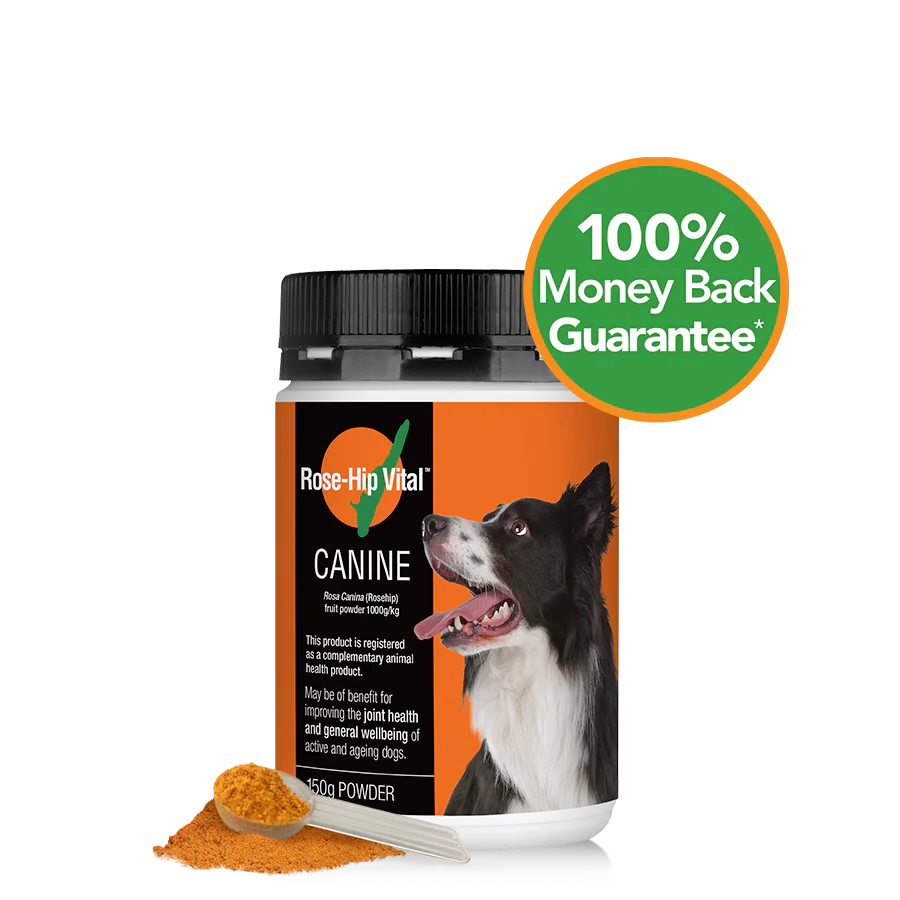 Rose-Hip Vital Canine