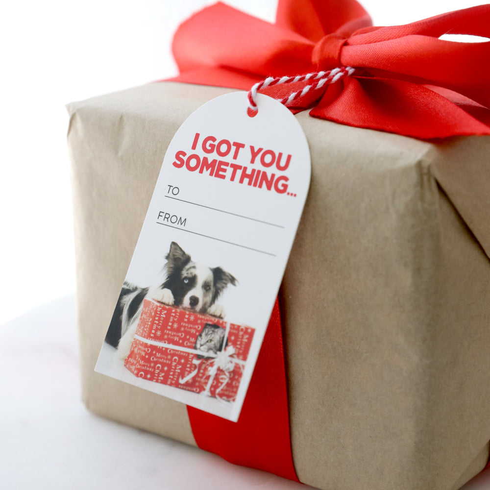 Christmas Gift Tags 6pk