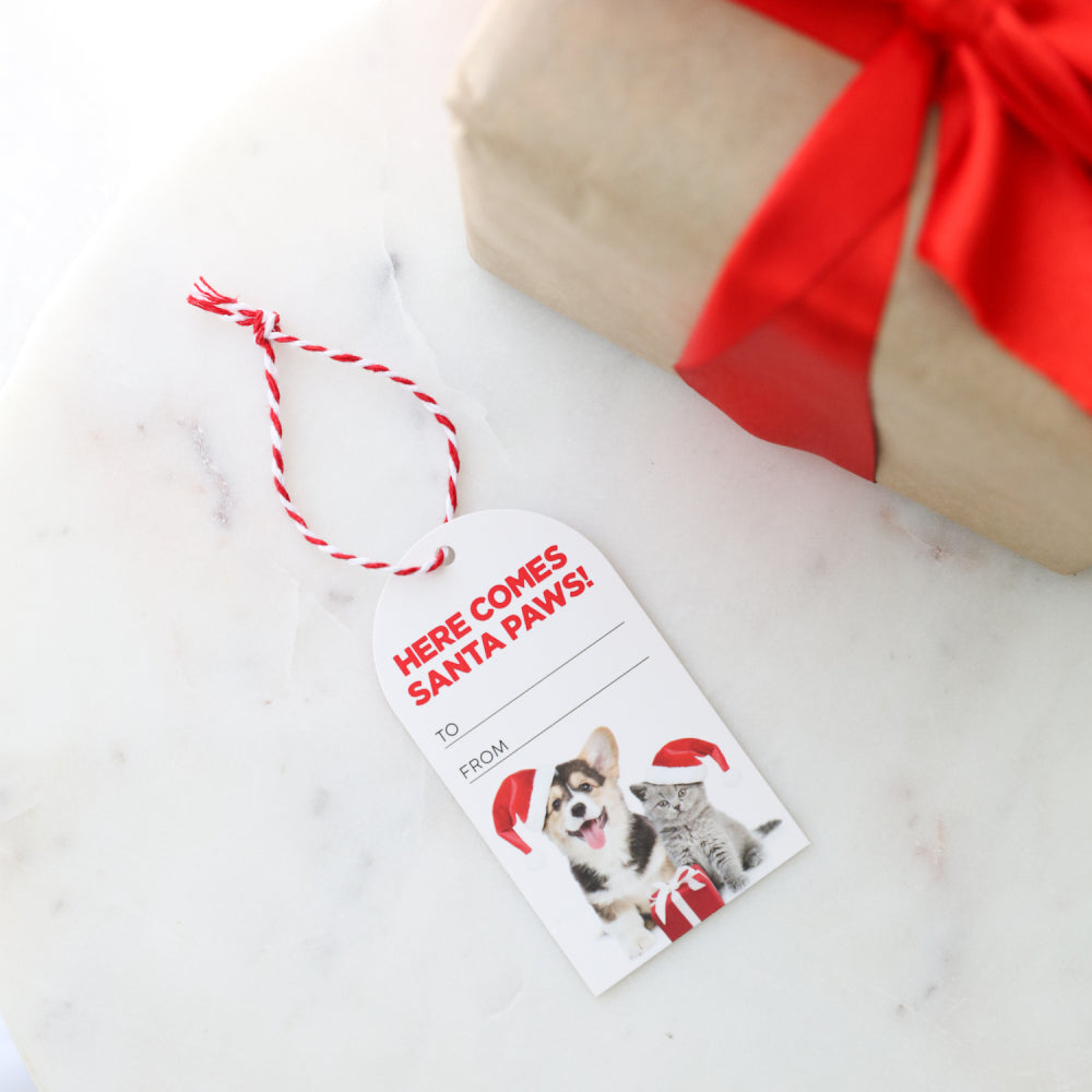 Christmas Gift Tags 6pk
