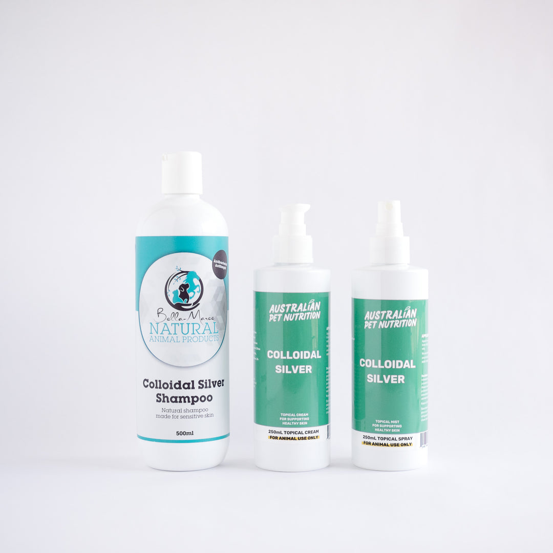 Colloidal Silver Bundle Large