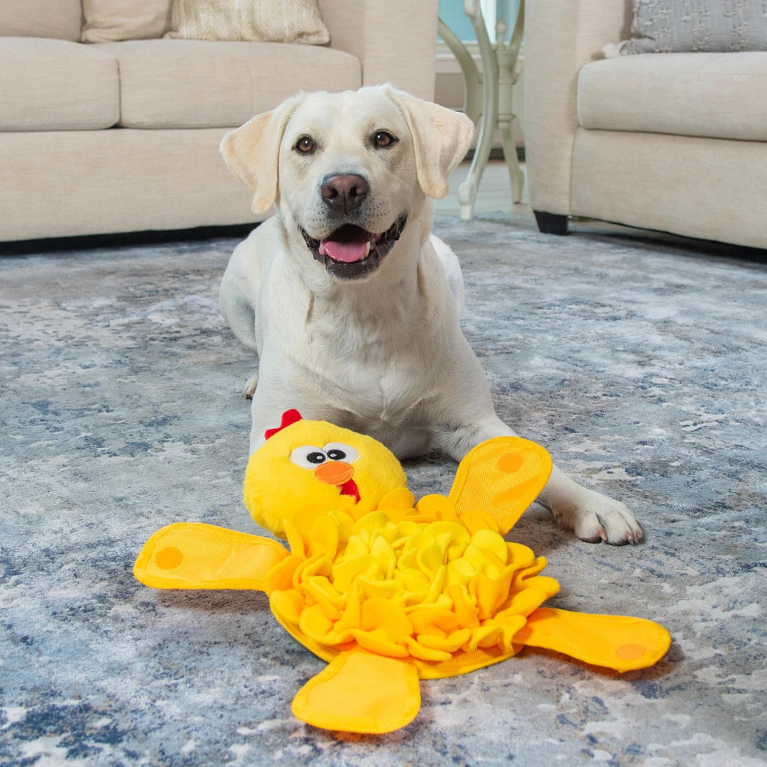 Outward Hound Snuffle Palz