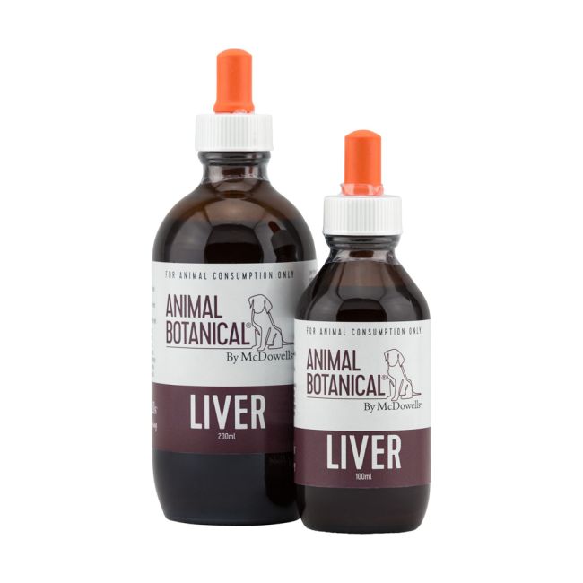 Canine Liver