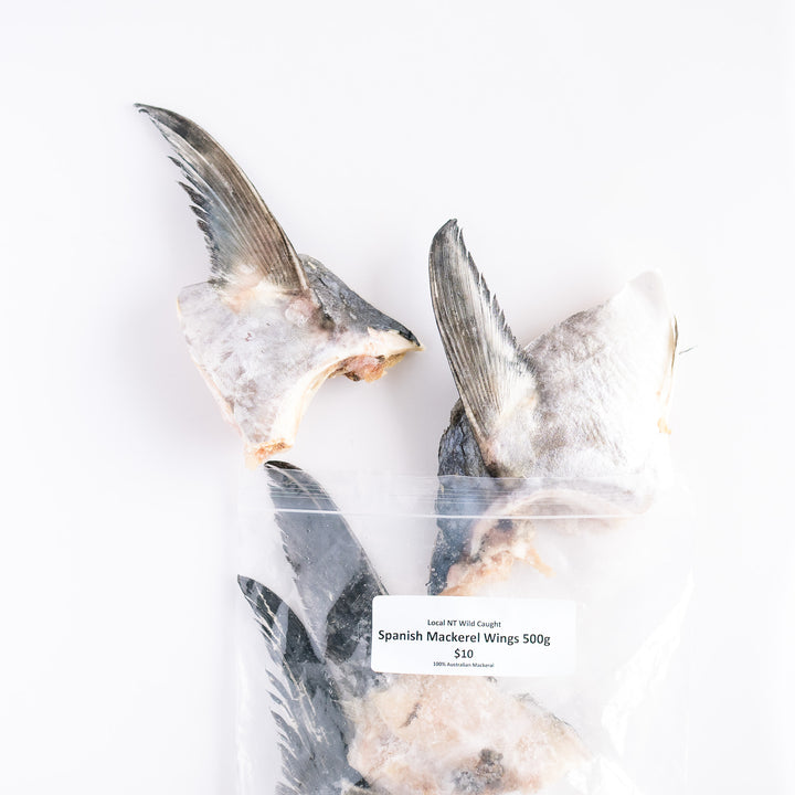 Local NT Wild Caught Spanish Mackerel Wings