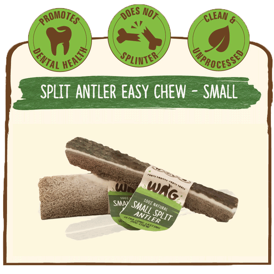 Deer Antler Split