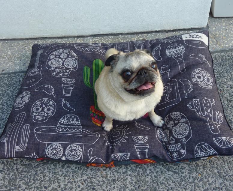 Indie Boho Large Pet Bed*