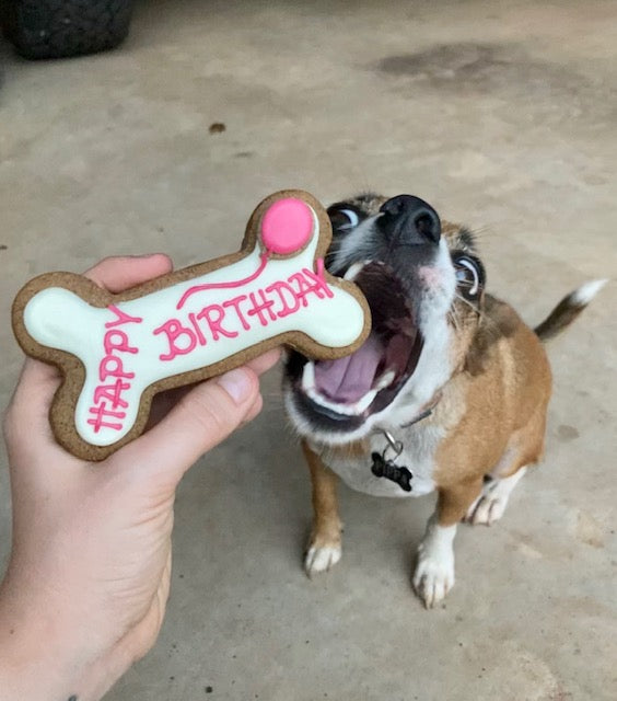 Happy Birthday Dog Bone