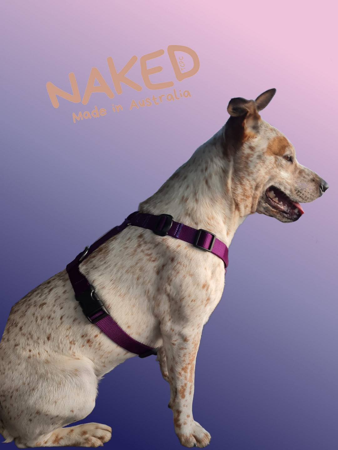 Naked Harness *