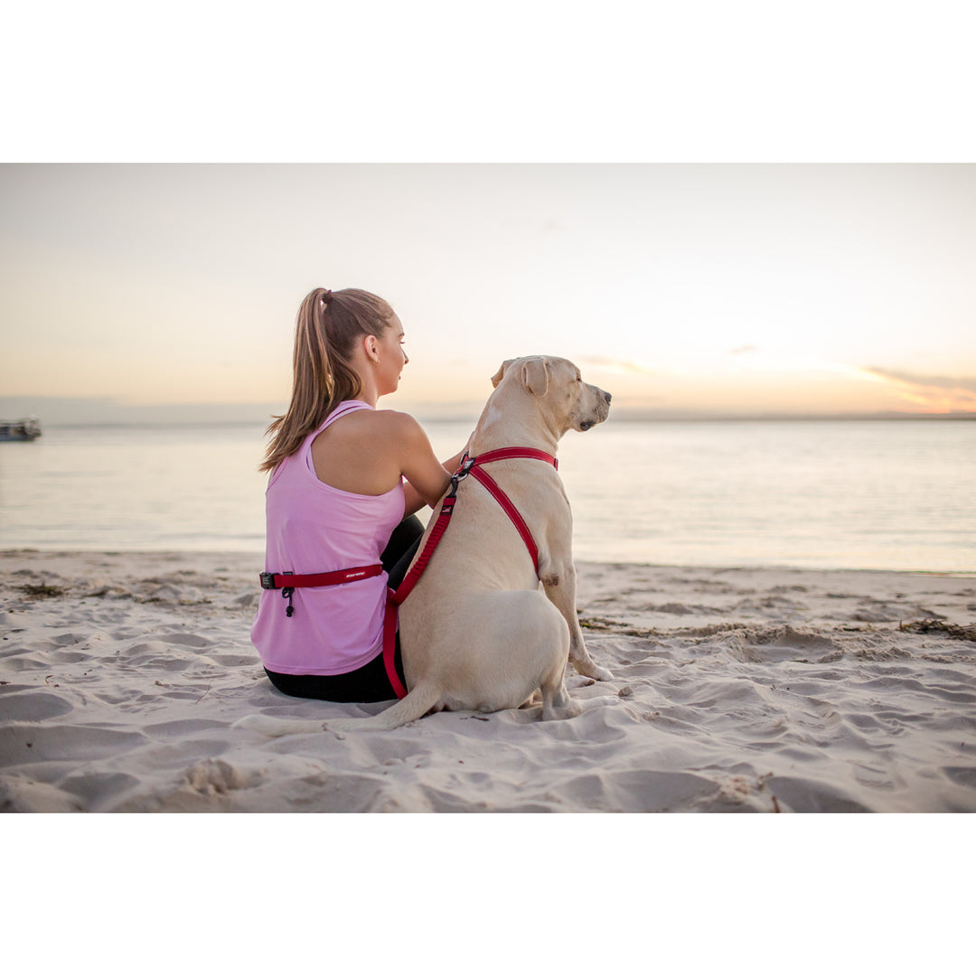 Road Runner Leash w/Zero Shock