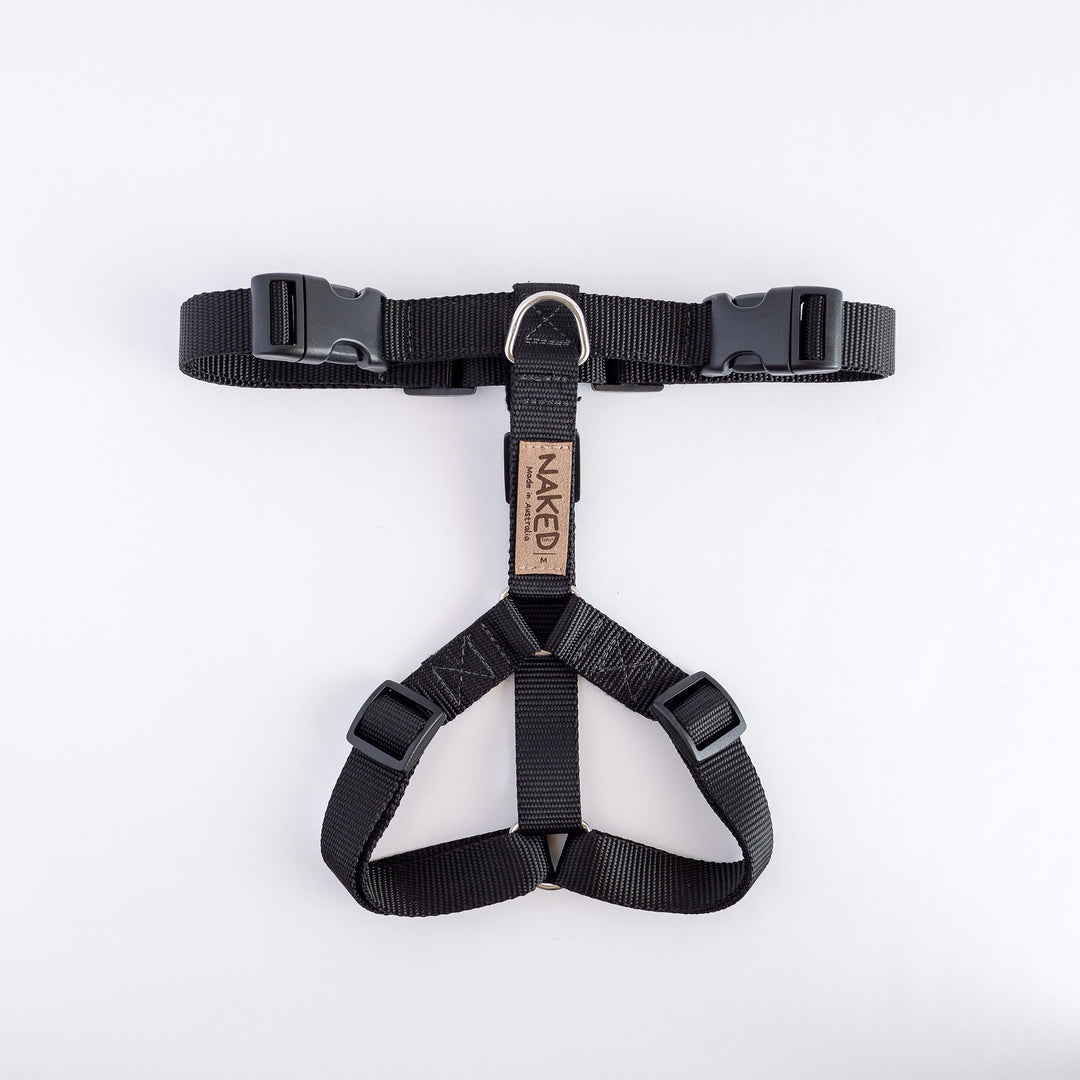 Naked Harness *