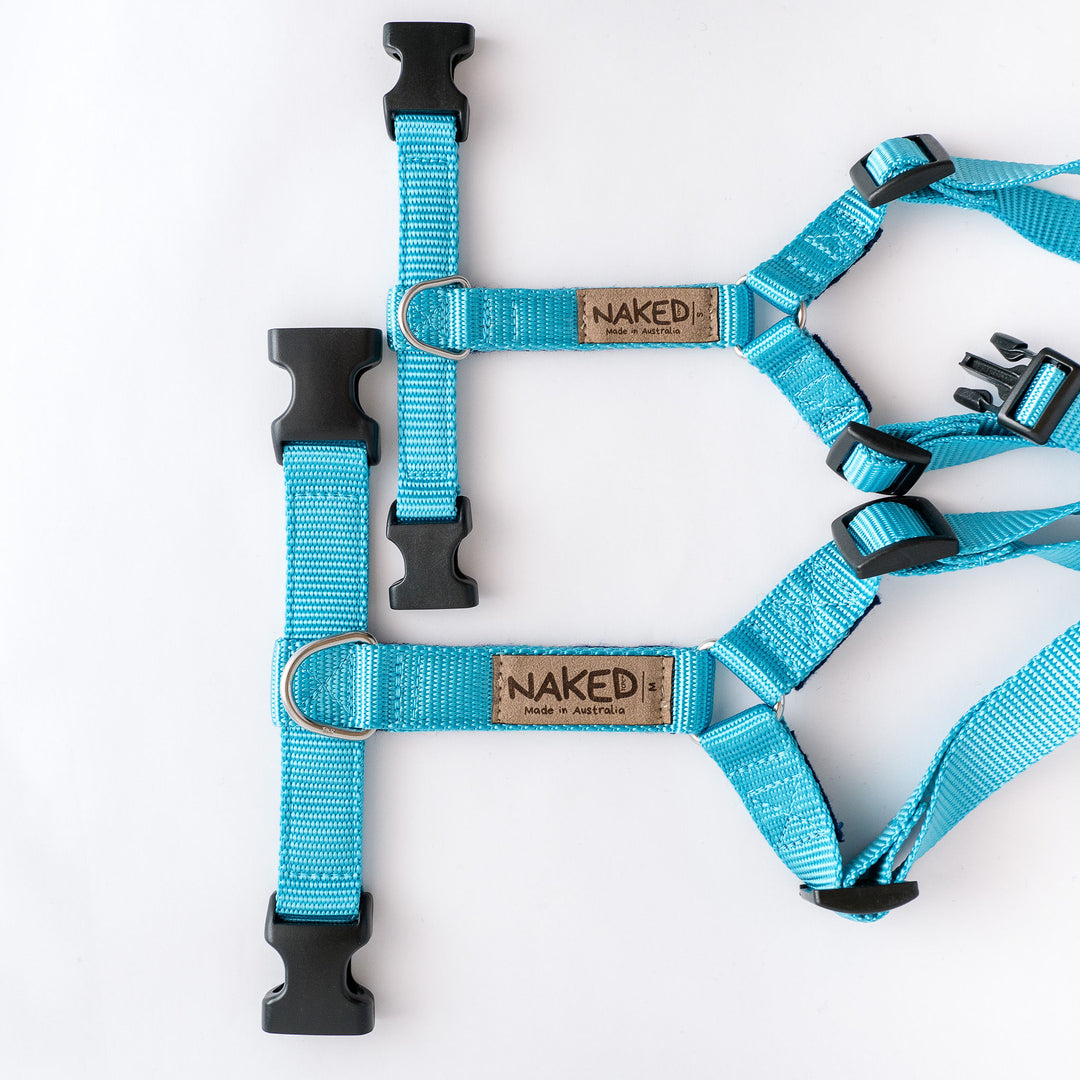 Naked Harness *