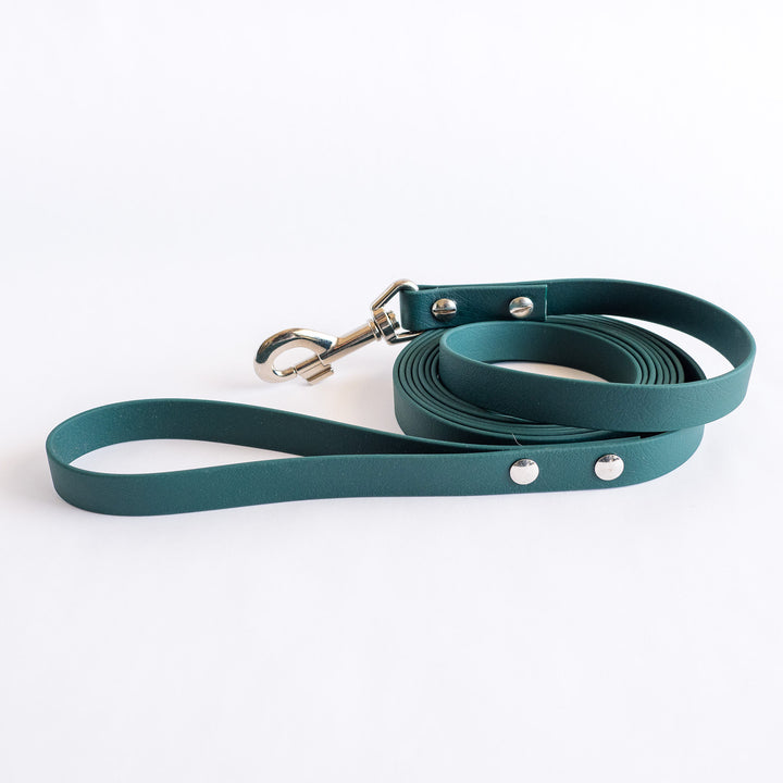 4m Biothane Lead