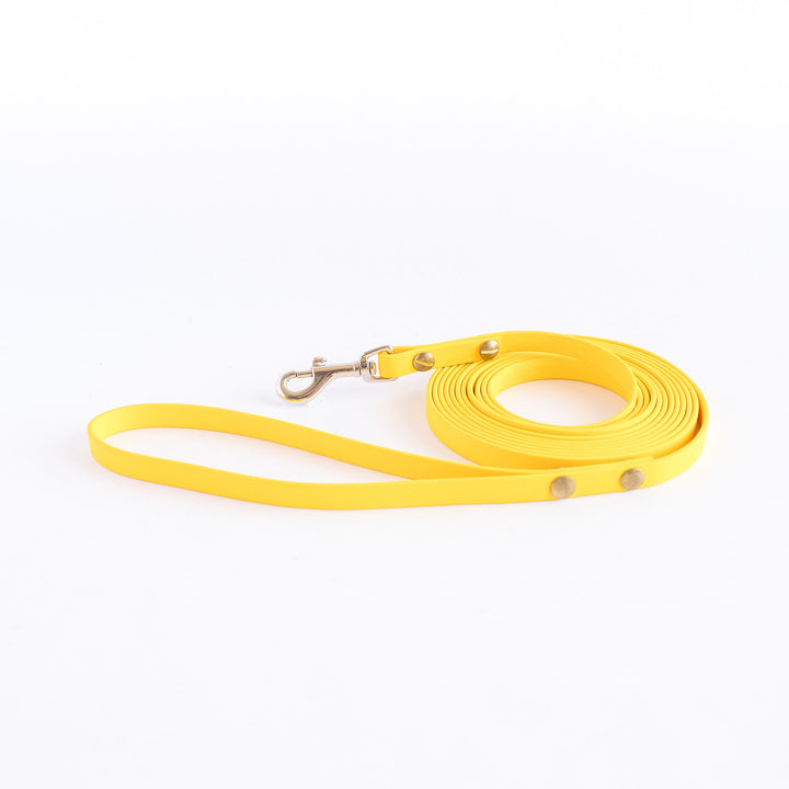 5m Biothane Lead
