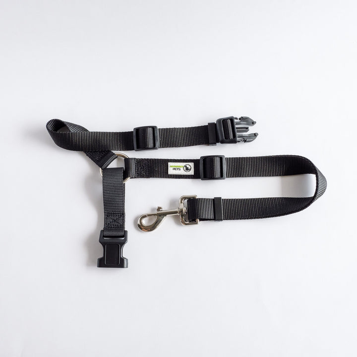 Headrest Seatbelt Restraint