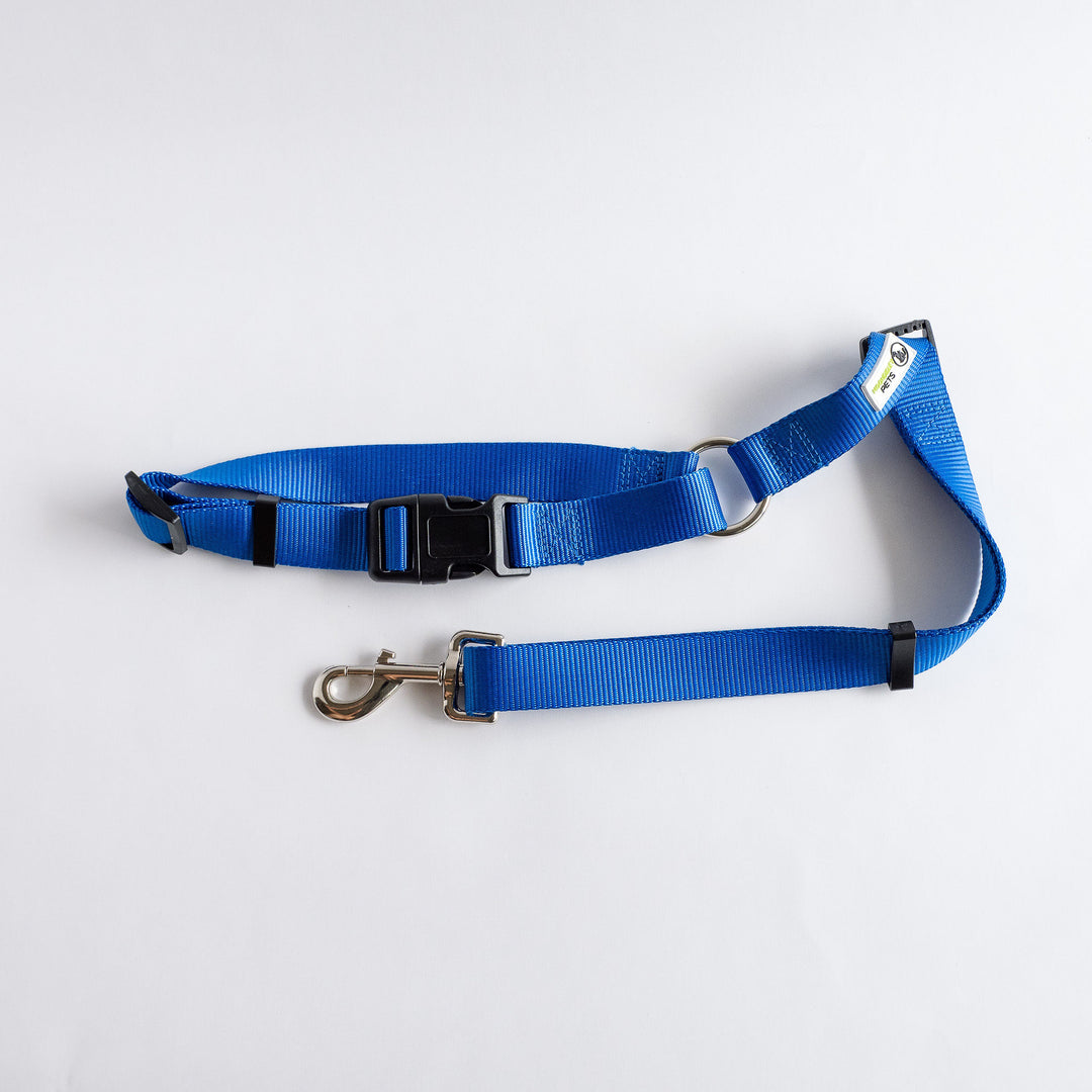 Headrest Seatbelt Restraint