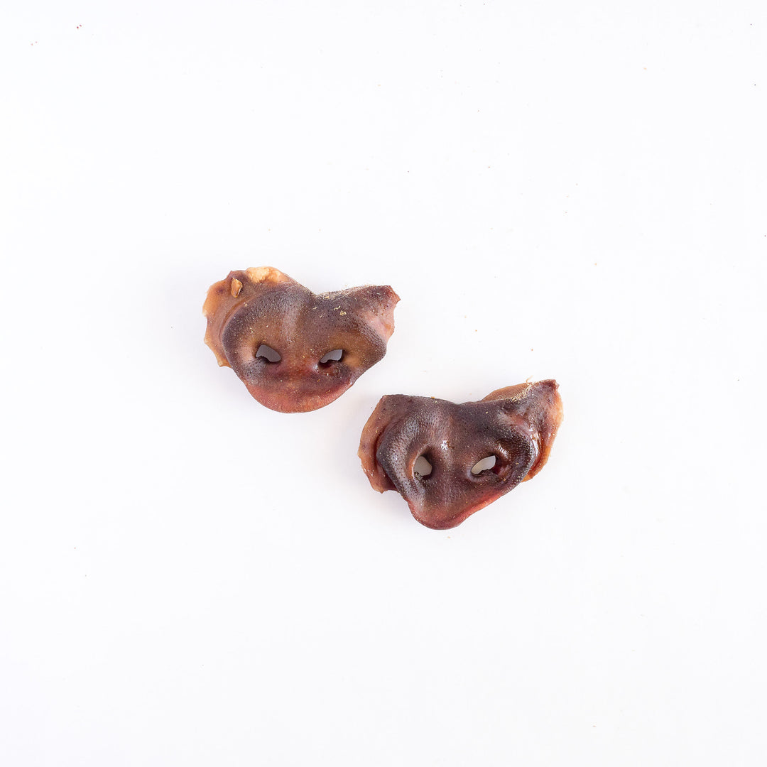 Pork Snouts 10pk