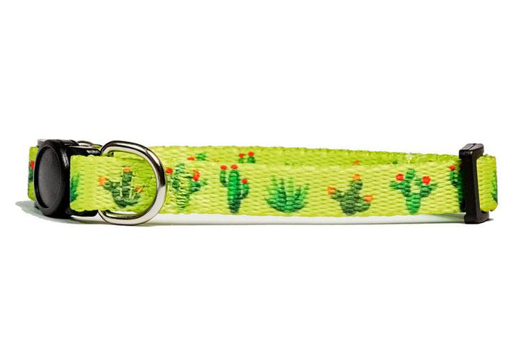 Puppy/Toy Dog Collar