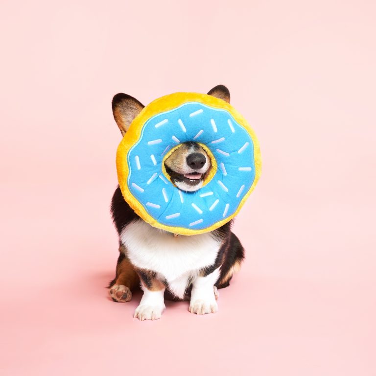 Zippy Paws Donutz