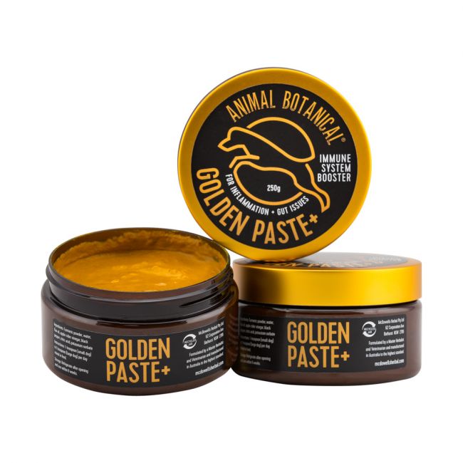 Golden Paste 250g