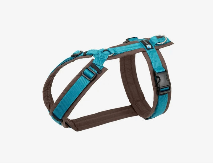 Anny.x Harness Fun