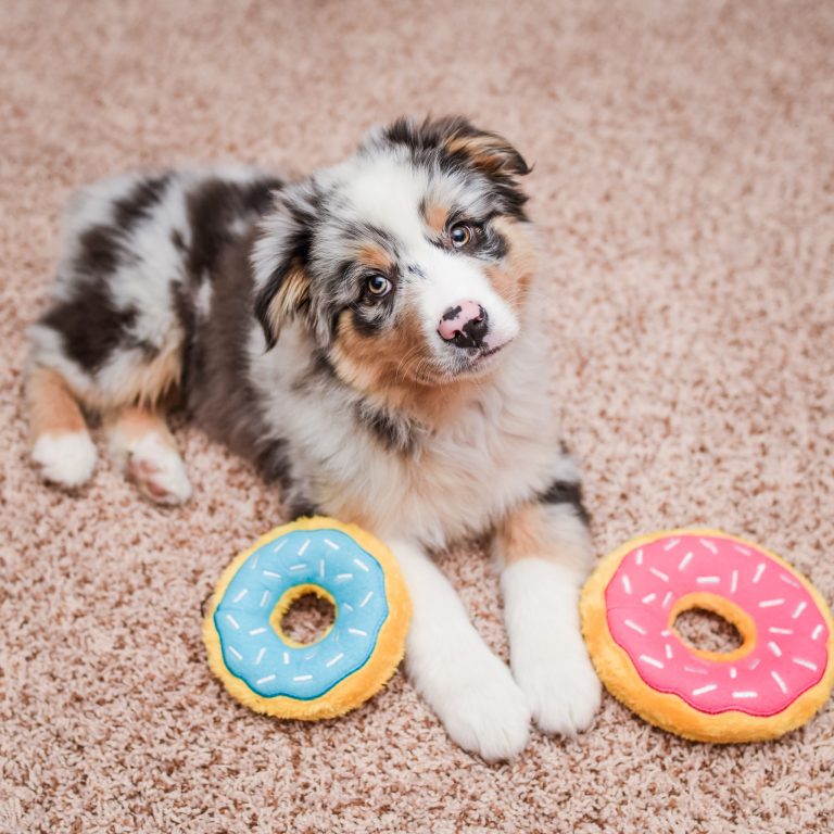 Zippy Paws Donutz