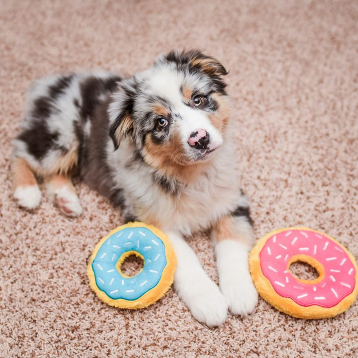 Zippy Paws Donutz